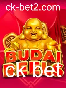 Descubra BudaiReels: A Nova Sensação do Entretenimento
